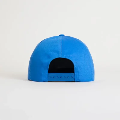 Billie Eilish Blue Flat Brim Snapback Back