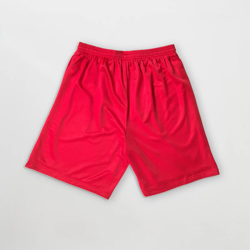 Billie Eilish HIT ME HARD Mesh Shorts Back