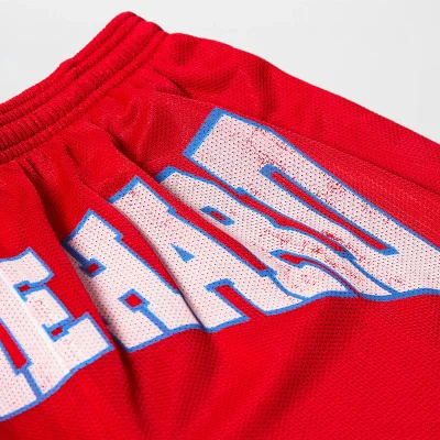 Billie Eilish HIT ME HARD Mesh Shorts Design